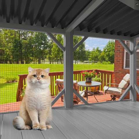 Cat Window Catio, Outdoor Cat Enclosure for Indoor Cats, Wooden Window Perch with Mesh Panels